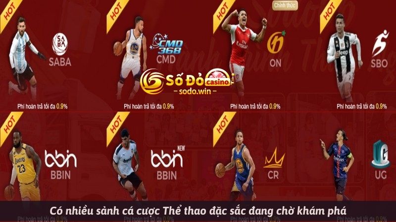 Có nhiều sảnh cá cược Thể thao đặc sắc đang chờ khám phá