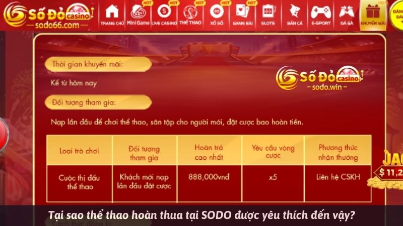 Tại sao thể thao hoàn thua tại SODO được yêu thích đến vậy?