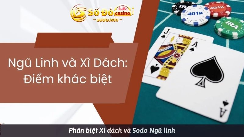 Cùng tìm hiểu về ngũ linh sodo